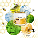 Creme botânica revitalizante da Saintsco, com textura suave e ingredientes naturais, para hidratação e renovação da pele.