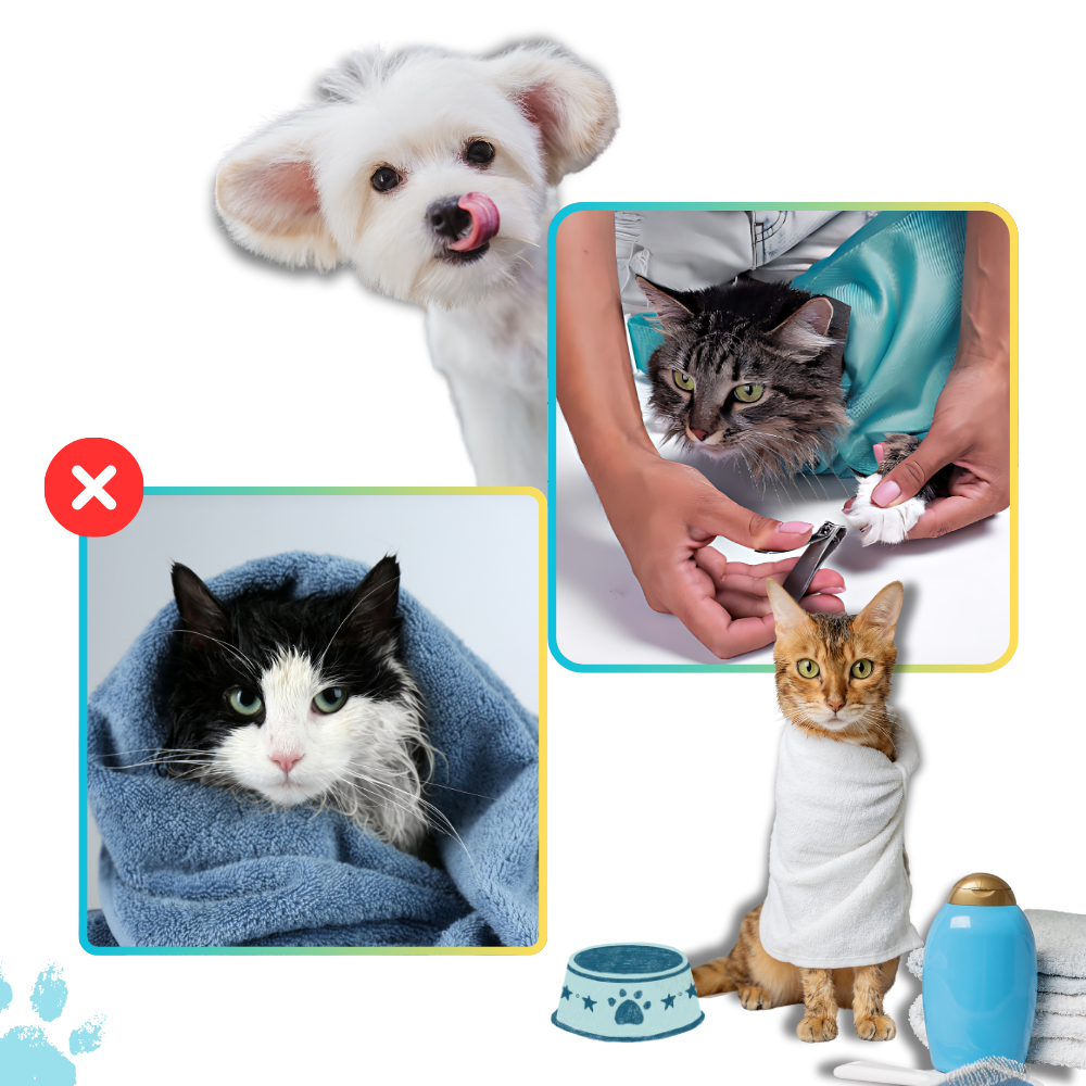 Bolsa de transporte para gatos da Elaydool, acessório para caixas de viagem, com design sereno e confortável para animais.