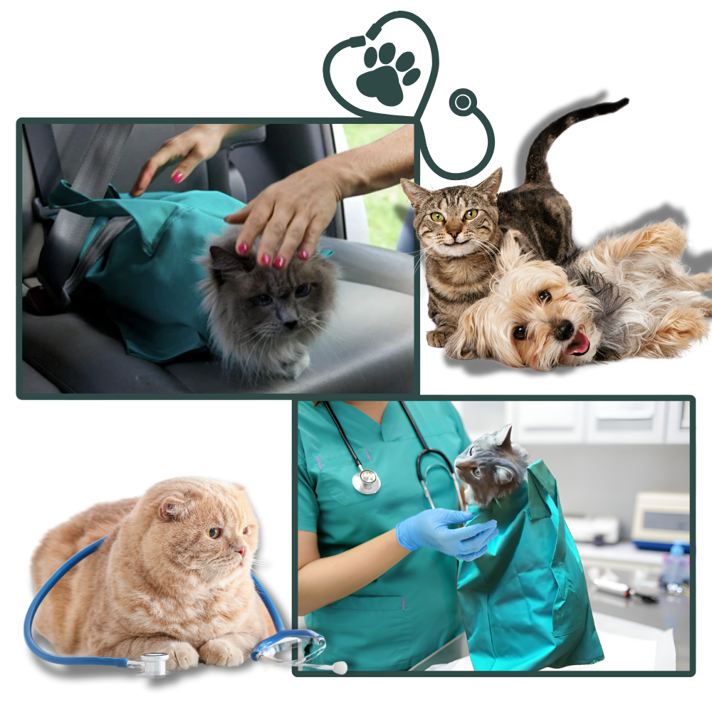 Bolsa de transporte serein para gatos da Elaydool, acessório confortável para viagens com animais de estimação.