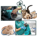 Bolsa de transporte serein para gatos da Elaydool, acessório confortável para viagens com animais de estimação.