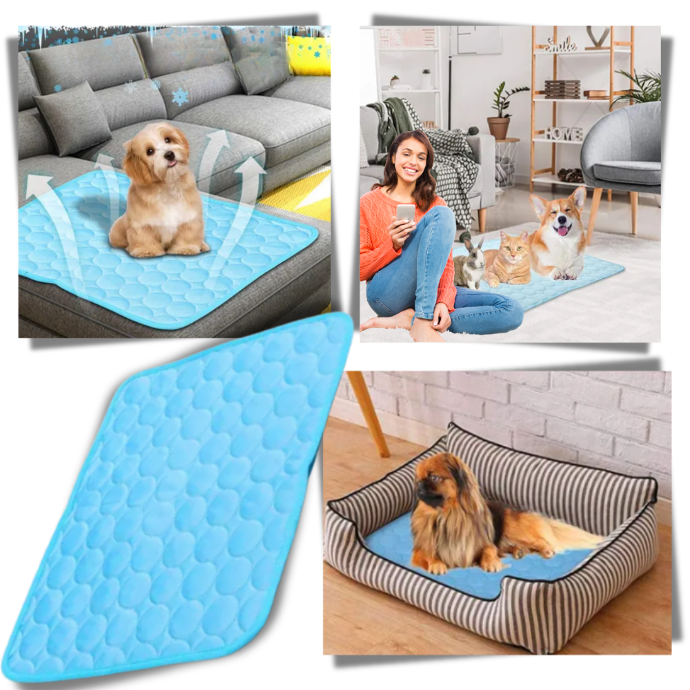 Tapete refrescante de seda para pets Follure, acessório para cães, com superfície macia e confortável para refrescar seu animal.