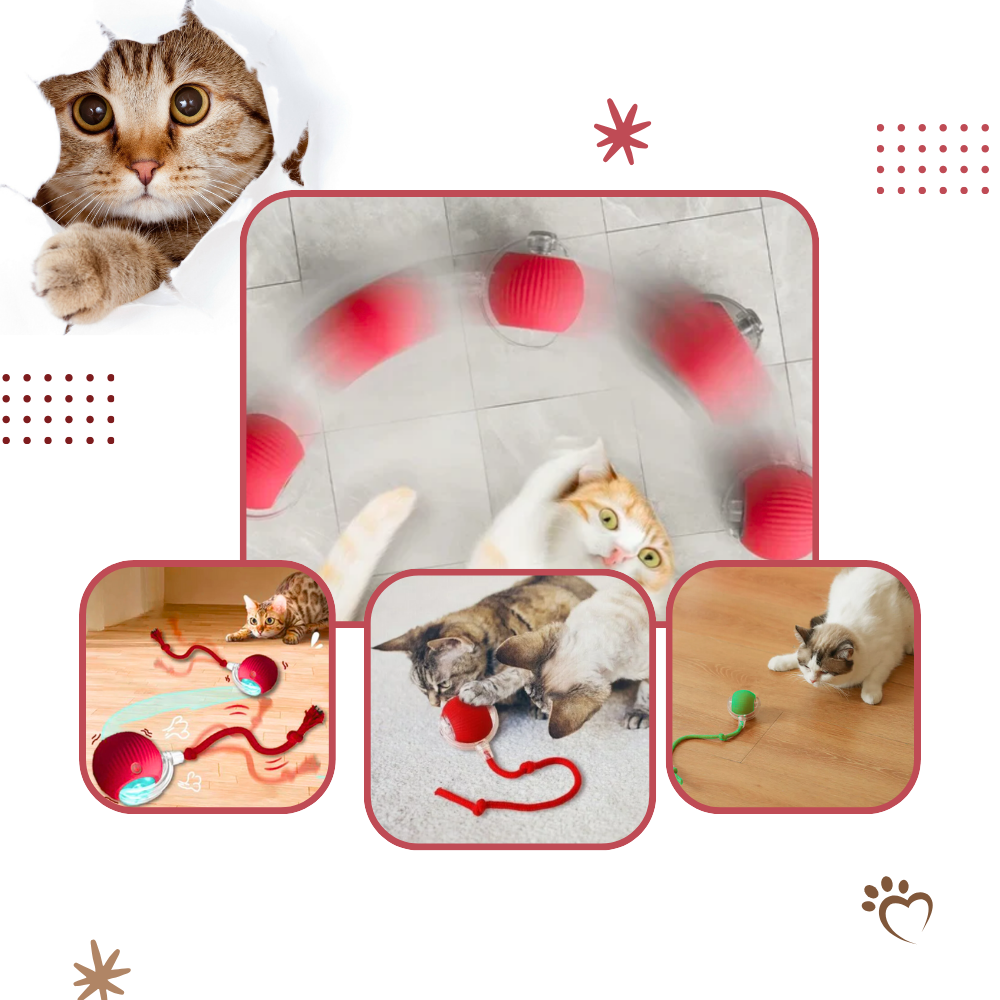 Brinquedo interativo inteligente para gatos Charlie, bola de diversão para entretenimento e estímulo dos felinos.