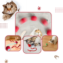 Brinquedo interativo inteligente para gatos Charlie, bola de diversão para entretenimento e estímulo dos felinos.