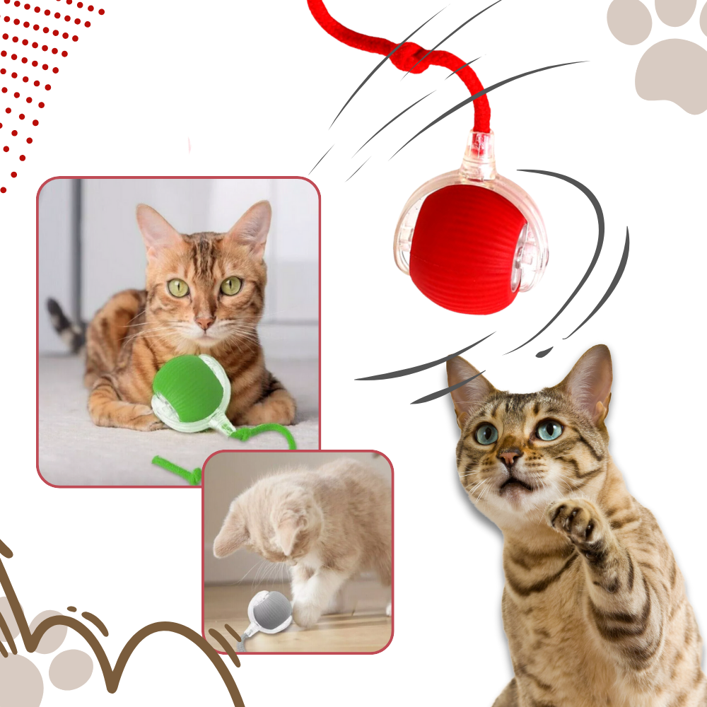 Brinquedo inteligente interativo para gatos Charlie, bola de diversão com recursos que estimulam a atividade e o entretenimento felino.