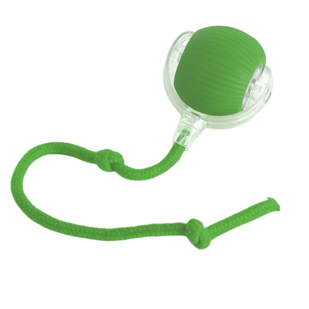 Brinquedo inteligente interativo para gatos Charlie, bola de brinquedo verde com recursos de estímulo e diversão para felinos.