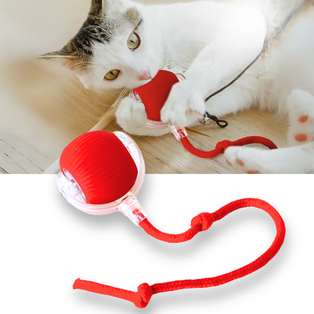 Brinquedo interativo inteligente para gatos da Charlie, bola de brinquedo que estimula a atividade e diversão felina.