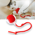 Brinquedo interativo inteligente para gatos da Charlie, bola de brinquedo que estimula a atividade e diversão felina.