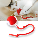 Brinquedo interativo inteligente para gatos da Charlie, bola de brinquedo que estimula a atividade e diversão felina.