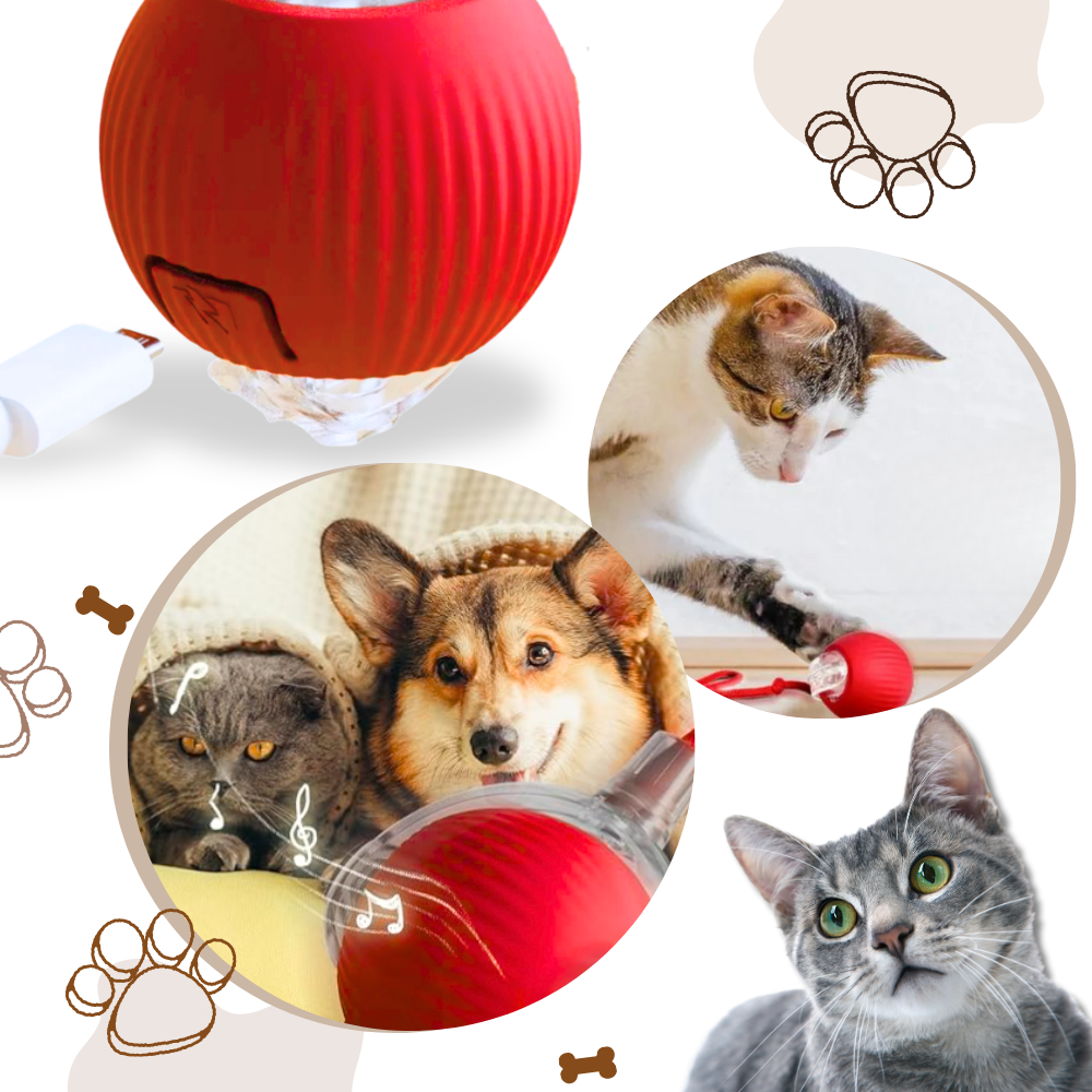 Brinquedo interativo Charlie para gatos, bola inteligente recarregável com recursos de diversão e estimulação para felinos.