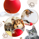 Brinquedo interativo Charlie para gatos, bola inteligente recarregável com recursos de diversão e estimulação para felinos.