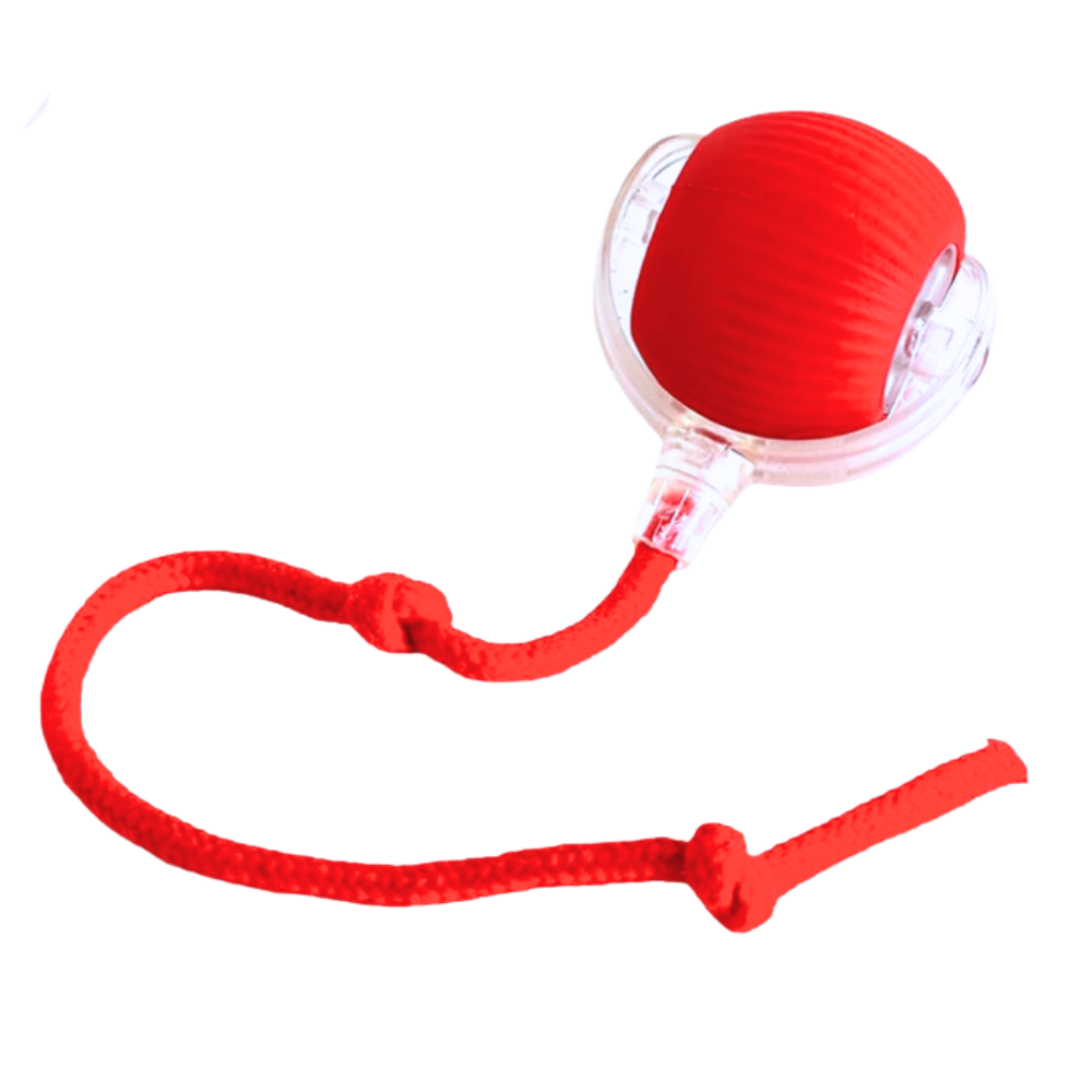 Brinquedo interativo inteligente para gatos da Charlie, bola vermelha com cores vibrantes e detalhes divertidos para estimular os felinos.