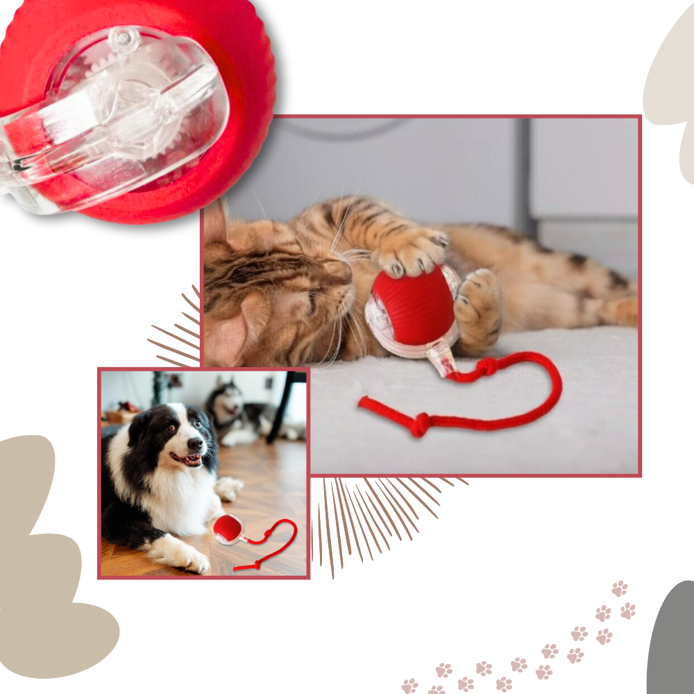 Bola de brinquedo inteligente interativa para gatos Charlie, acessório divertido com superfície resistente e cores vibrantes.