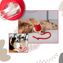 Bola de brinquedo inteligente interativa para gatos Charlie, acessório divertido com superfície resistente e cores vibrantes.