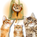 Capa de transporte para gatos Clberni, macia e respirável, com estampa de leão, ideal para viagens com felinos de tamanho único.