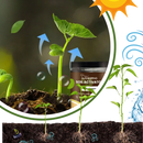 Ativador de solo orgânico Soil Activator para jardinagem, frasco de 60 g, promove nutrientes naturais para plantas saudáveis.
