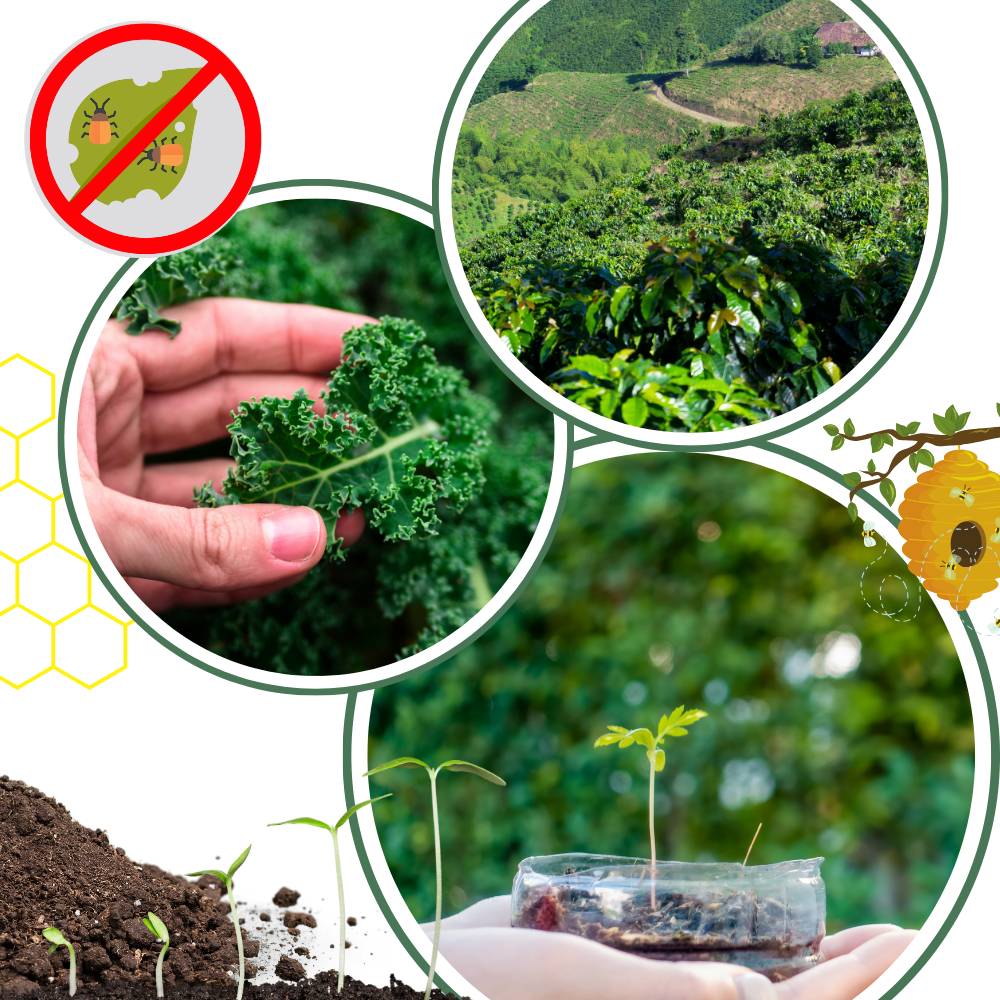 Ativador de solo orgânico Soil Activator para jardinagem, fertilizante natural de 60g para melhorar a saúde das plantas.