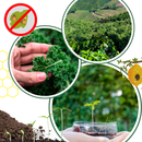 Ativador de solo orgânico Soil Activator para jardinagem, fertilizante natural de 60g para melhorar a saúde das plantas.