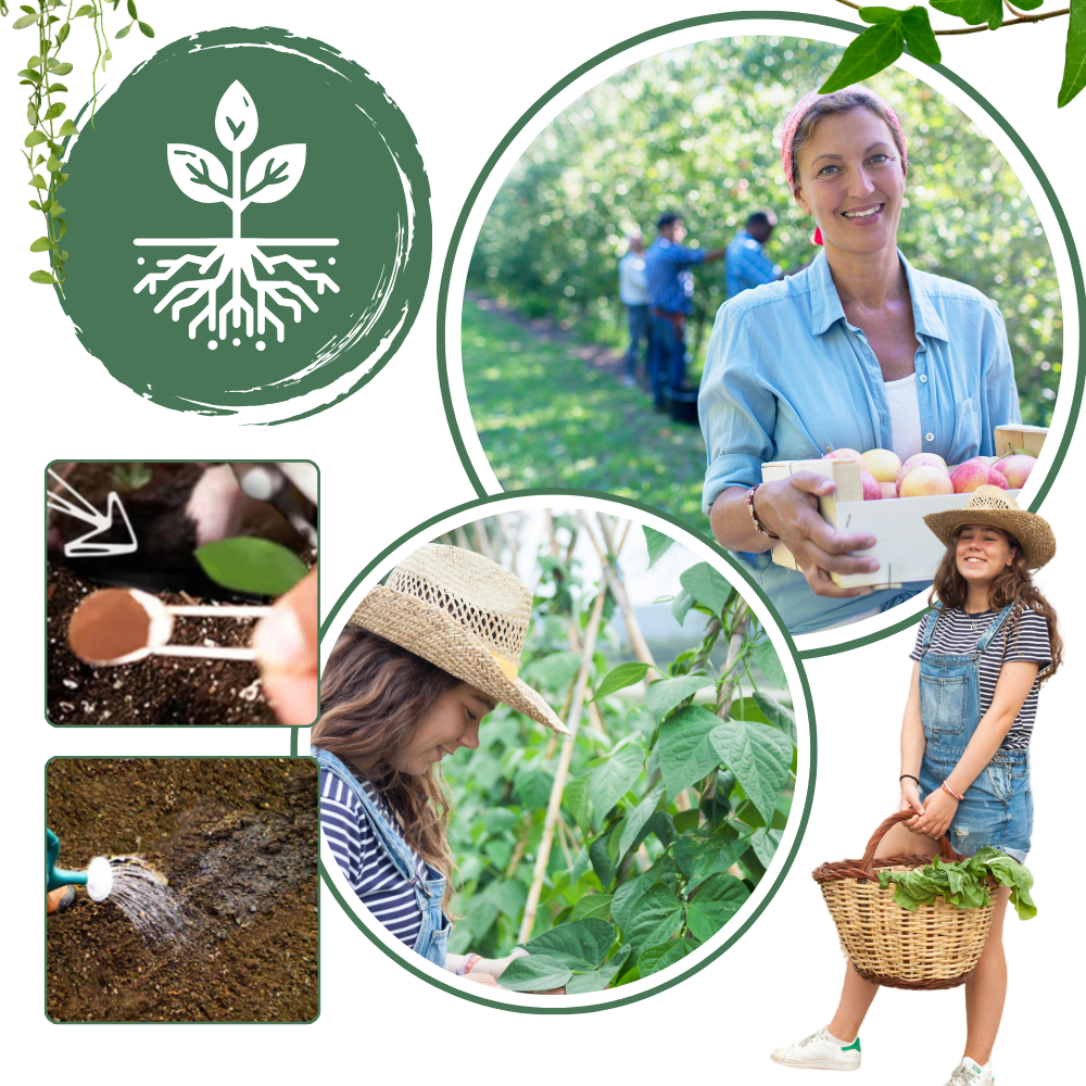 Ativador de solo para jardinagem Soil Activator, fertilizante orgânico de 60g com nutrientes naturais para plantas saudável