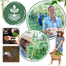 Ativador de solo para jardinagem Soil Activator, fertilizante orgânico de 60g com nutrientes naturais para plantas saudável