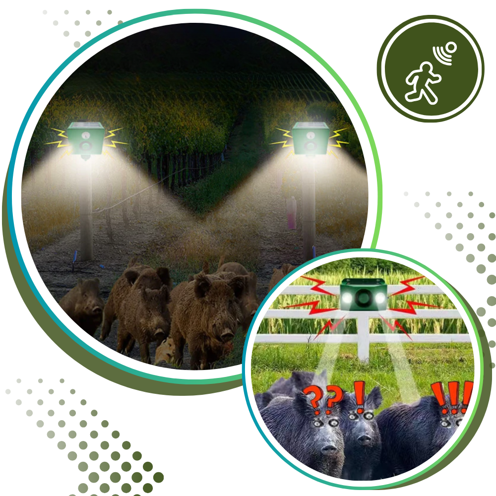 Lâmpada de segurança solar ativada por movimento para repelir animais, marca Dicasser, iluminando área externa automaticamente