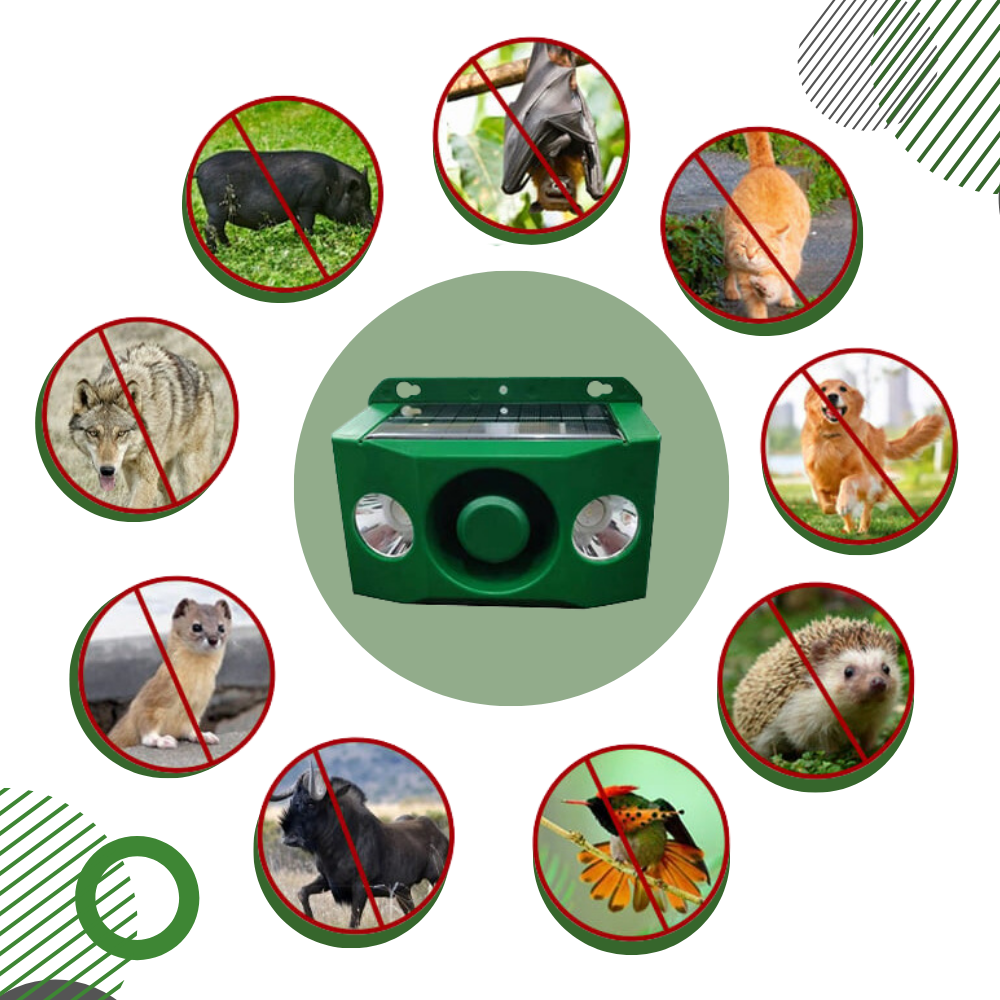 Lâmpada de segurança solar com repelente de animais ativado por movimento, marca Dicasser, ilumina ao detectar presença animal.