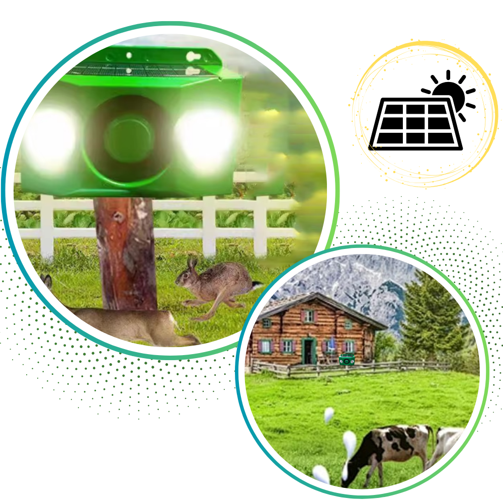 Lâmpada de segurança solar com repulsor de movimento para animais, marca Dicasser, iluminando ao detectar movimento.