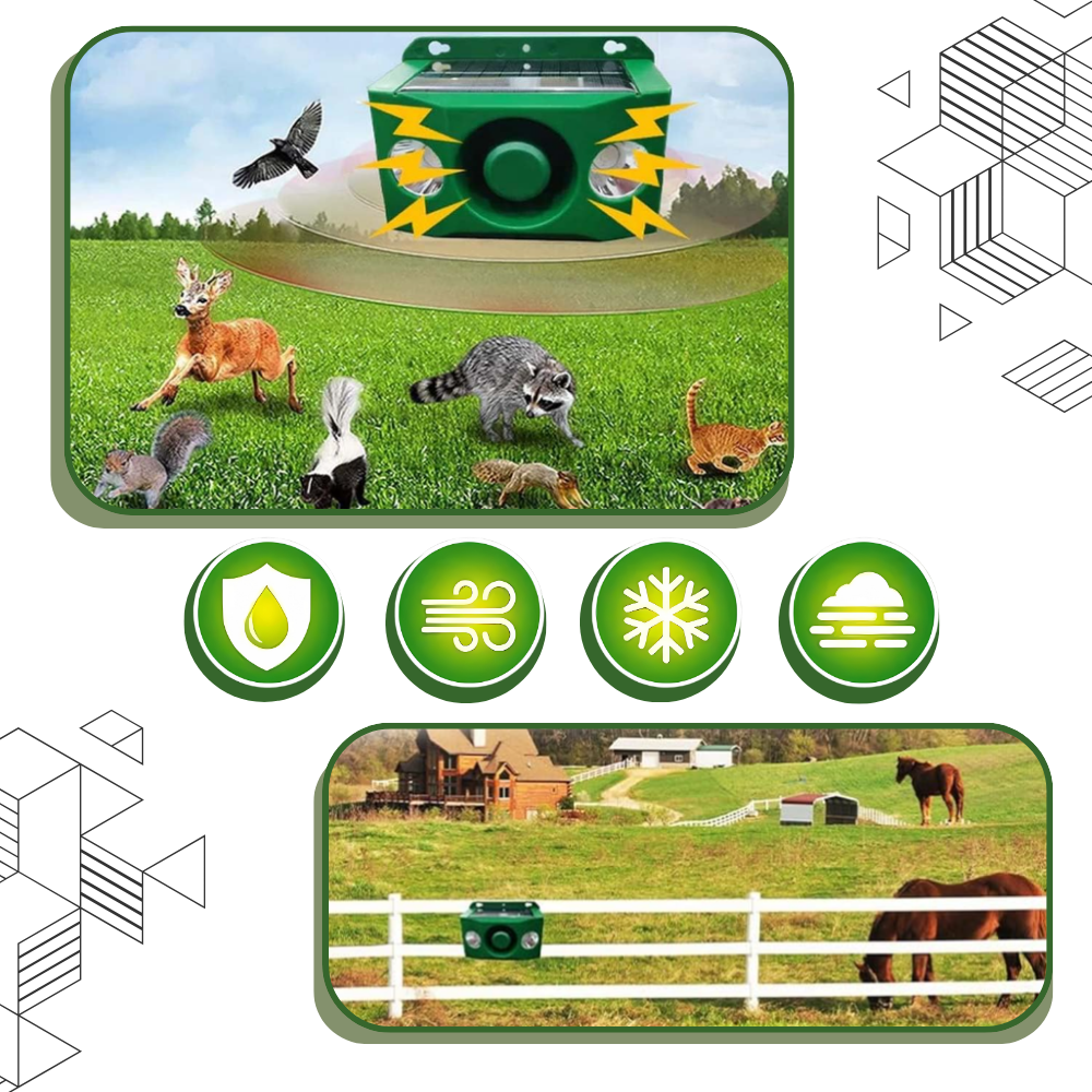 Lâmpada de segurança solar com repelente de animais ativado por movimento, resistente às condições climáticas, marca Dicasser