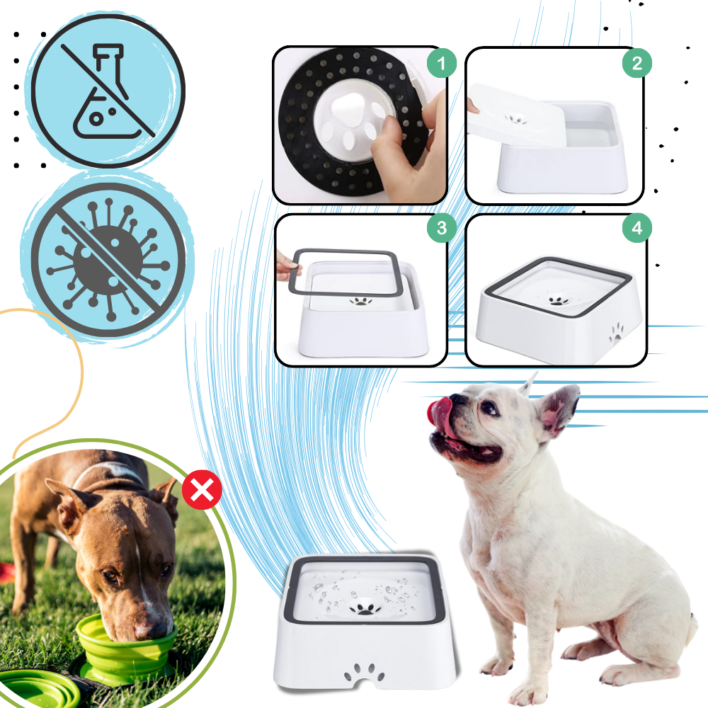 Bebedouro anti-espirrador para cães da marca Aomeily, acessório para evitar sujeira ao alimentar seu pet.