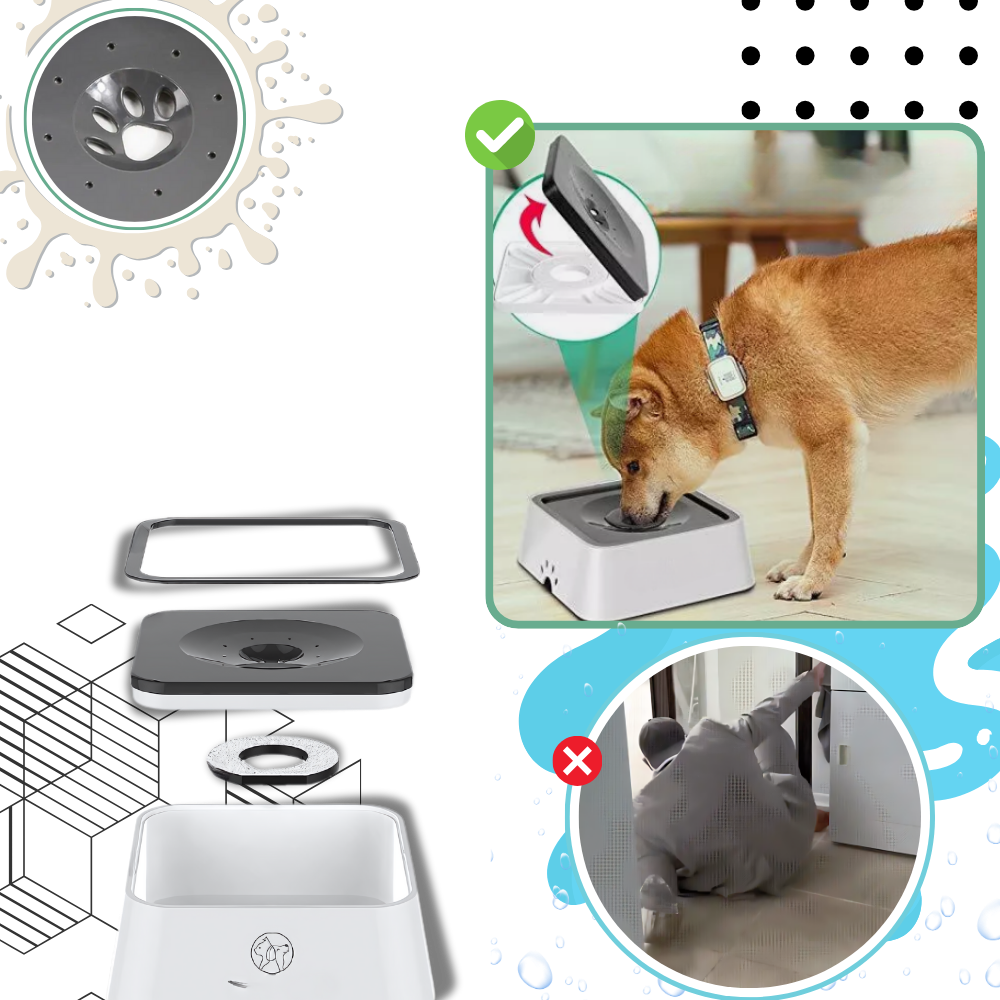Copo de água anti respingos para cães da marca Aomeily, acessório para evitar derramamento durante a hidratação do pet