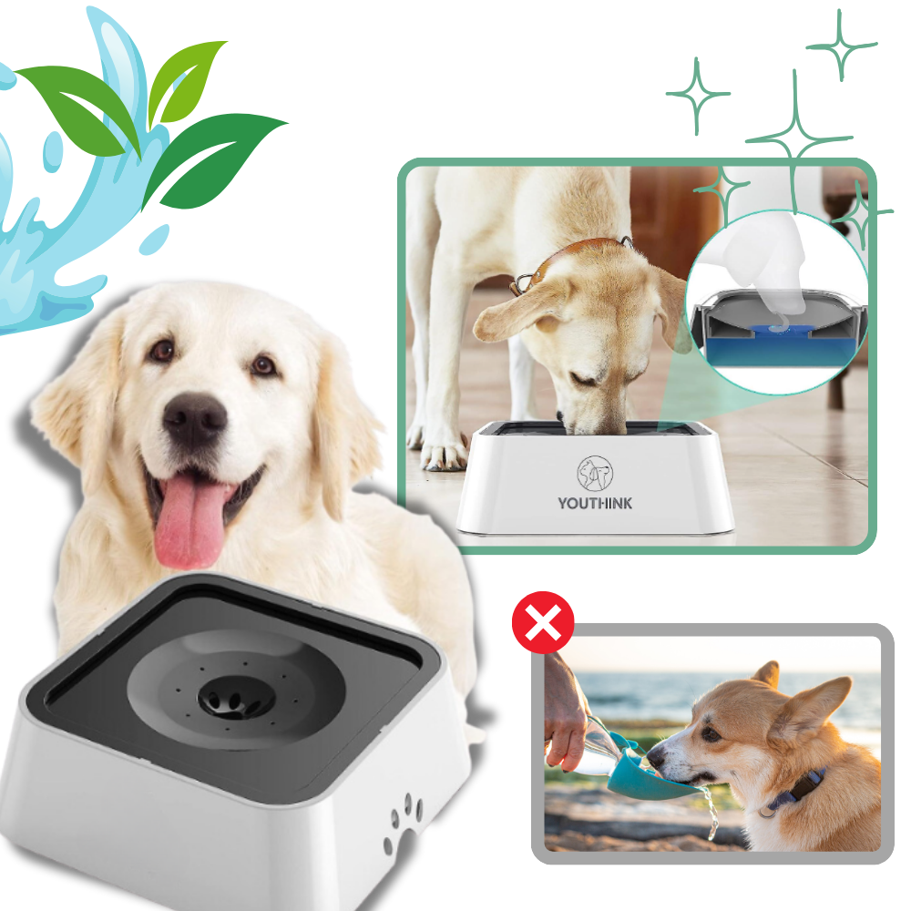 Comedouro anti-espirramento para cães da marca Aomeily, resistente a respingos e ideal para manter a água limpa e seca.