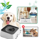 Comedouro anti-espirramento para cães da marca Aomeily, resistente a respingos e ideal para manter a água limpa e seca.