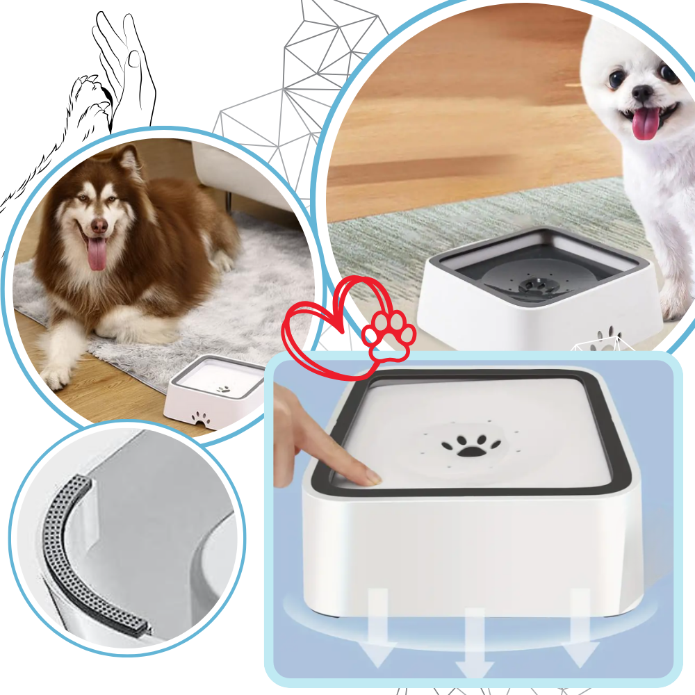 Tigela anti-espirramento Aomeily para cães, acessório de plástico seguro, com design que evita respingos de água.