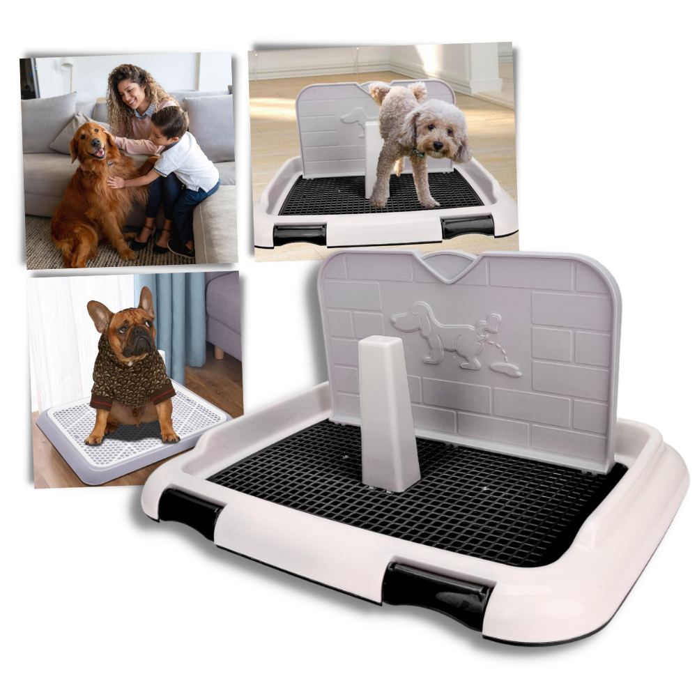 Tapete de limpeza para cães Qiilu, antiespirramento, artigos para animais de estimação, superfície absorvente para higiene canina.