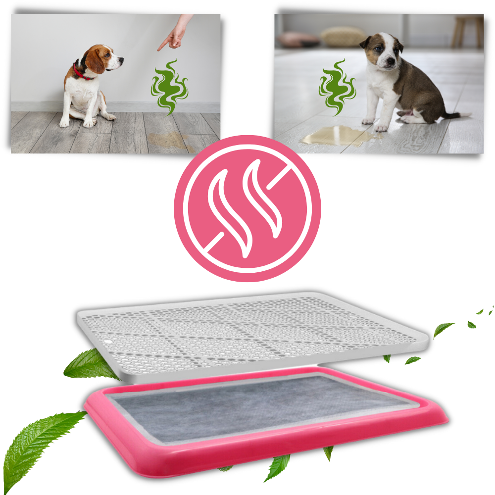 Tapete de proteção para cães Qiilu, antiderrapante e à prova de respingos, ideal para higiene e controle de urina.