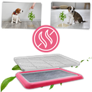 Tapete de proteção para cães Qiilu, antiderrapante e à prova de respingos, ideal para higiene e controle de urina.