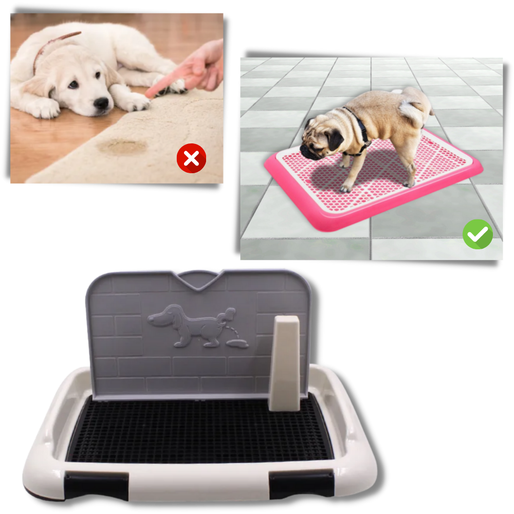 Tapis de propreté pour chien Qiilu, absorvente et anti-éclaboussures, idéal pour treinamento e higiene animal.