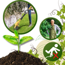 Cultivador elétrico sem fio Tfcfl de alta velocidade para uso externo, com lâminas robustas e design portátil.