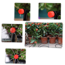 Kit de irrigação para jardim Tomfoto, sistema de irrigação com mangueira de 5 metros para irrigação eficiente ao ar livre