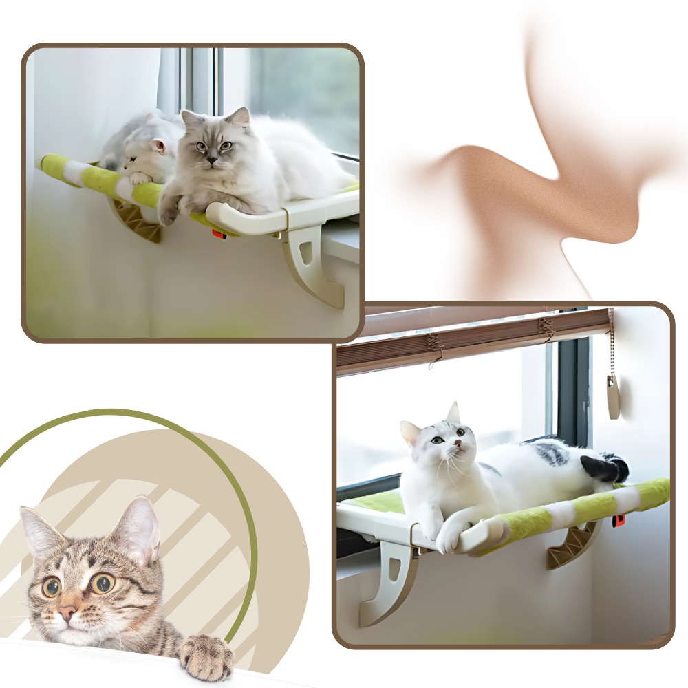 Cama para gato e perchoir de janela sem ferramenta da Mewoofun, confortável e seguro para arranhar e observar.