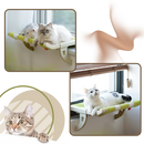 Cama para gato e perchoir de janela sem ferramenta da Mewoofun, confortável e seguro para arranhar e observar.