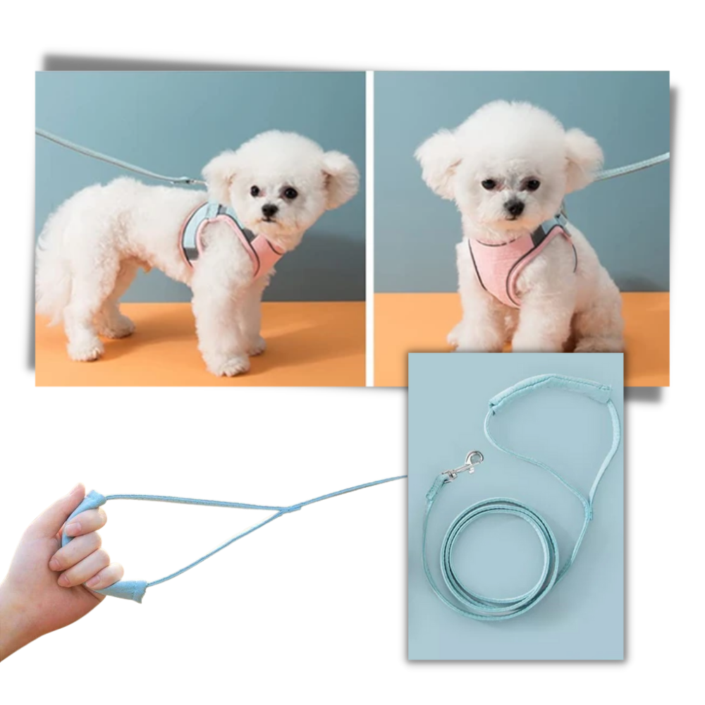 Conjunto de coleira e guia para animais de estimação Topumt, em azul e laranja, com acabamento ajustável e confortável.