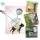 Corda de passeio transparente para cachorro da marca Mewmewcat, com guarda-chuva de proteção contra chuva e vento.
