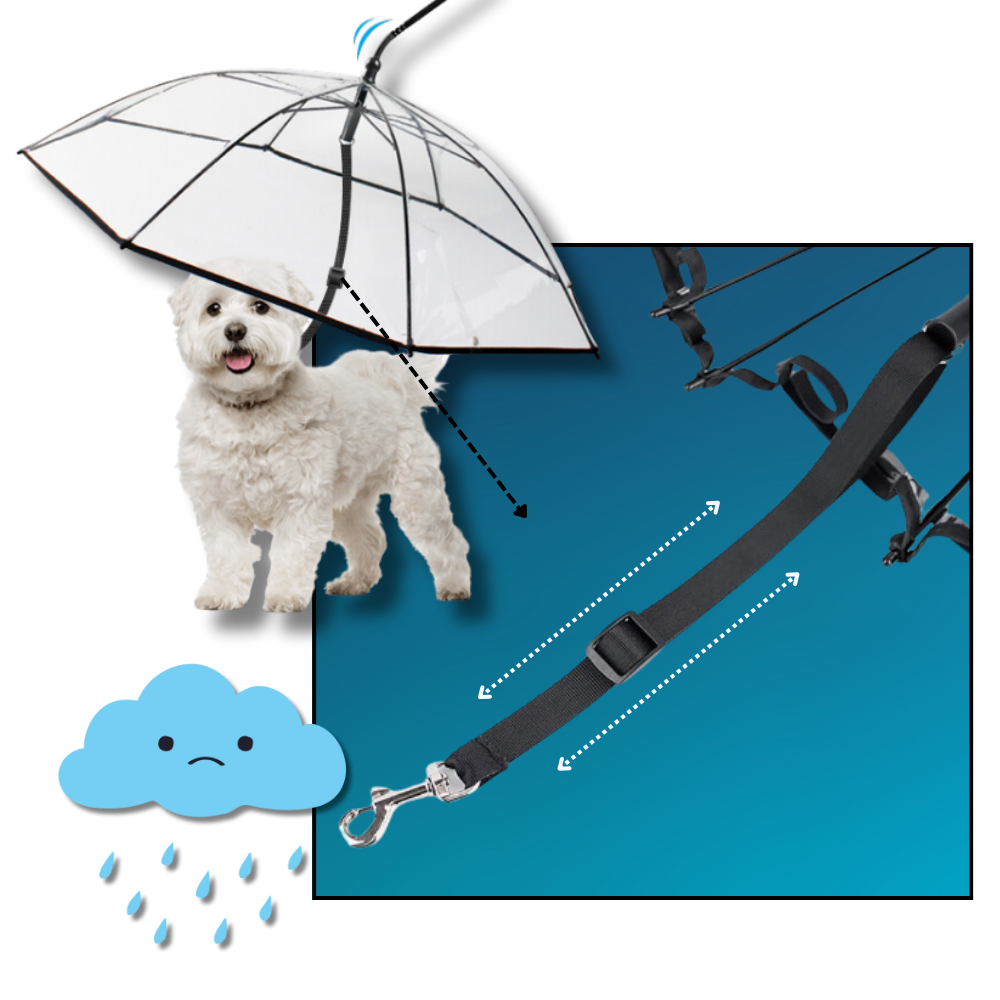 Coleira de guarda-chuva transparente para cachorro da Mewmewcat, com design fácil de controlar e proteção contra chuva.