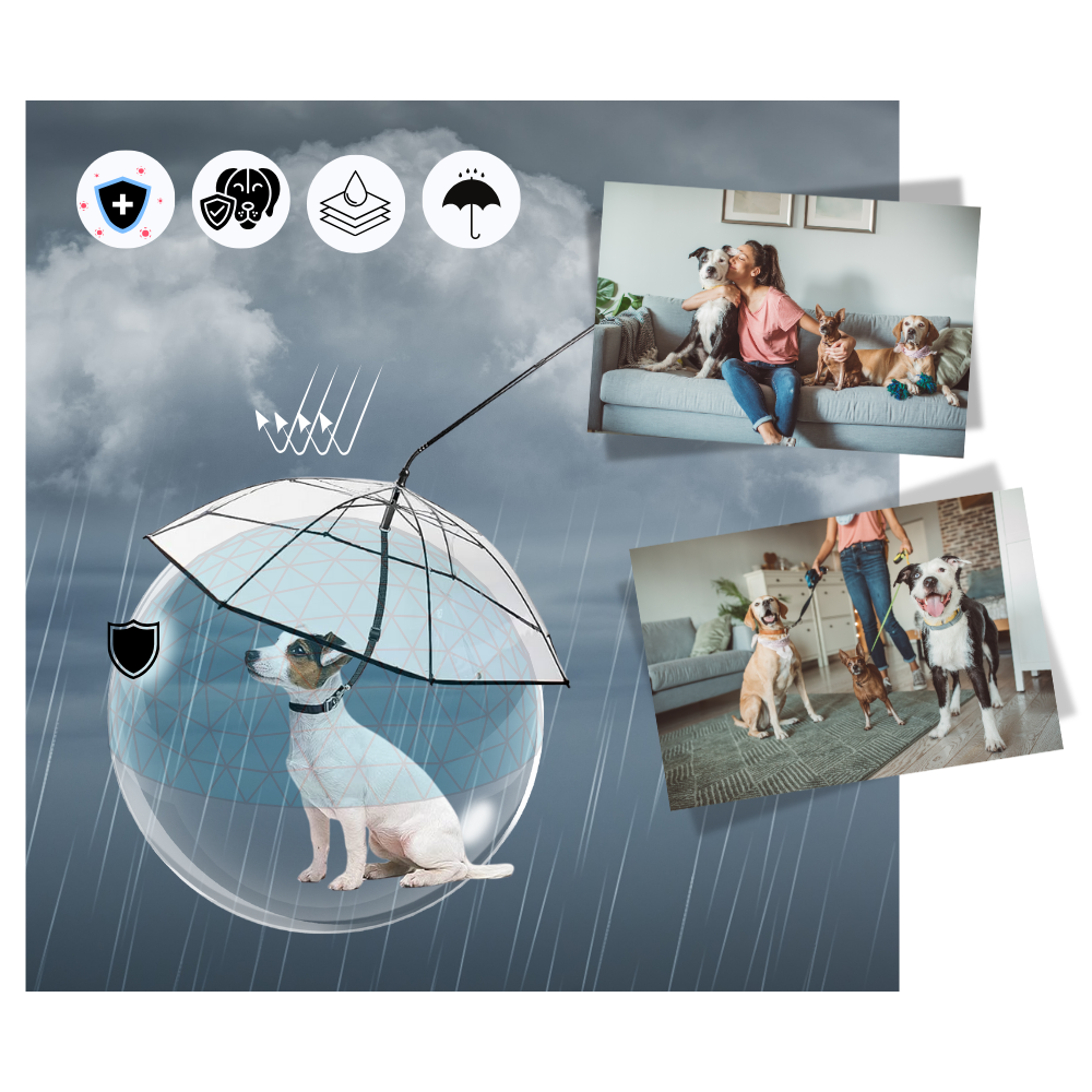 Laisse parapluie transparente para cachorro da marca Mewmewcat, com proteção contra chuva e design prático e leve.