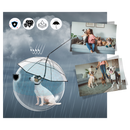 Laisse parapluie transparente para cachorro da marca Mewmewcat, com proteção contra chuva e design prático e leve.