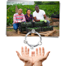 Buse de jardin Unique-Bargains avec trois têtes pour arrosage et irrigation, pulvérisation uniforme pour jardins.