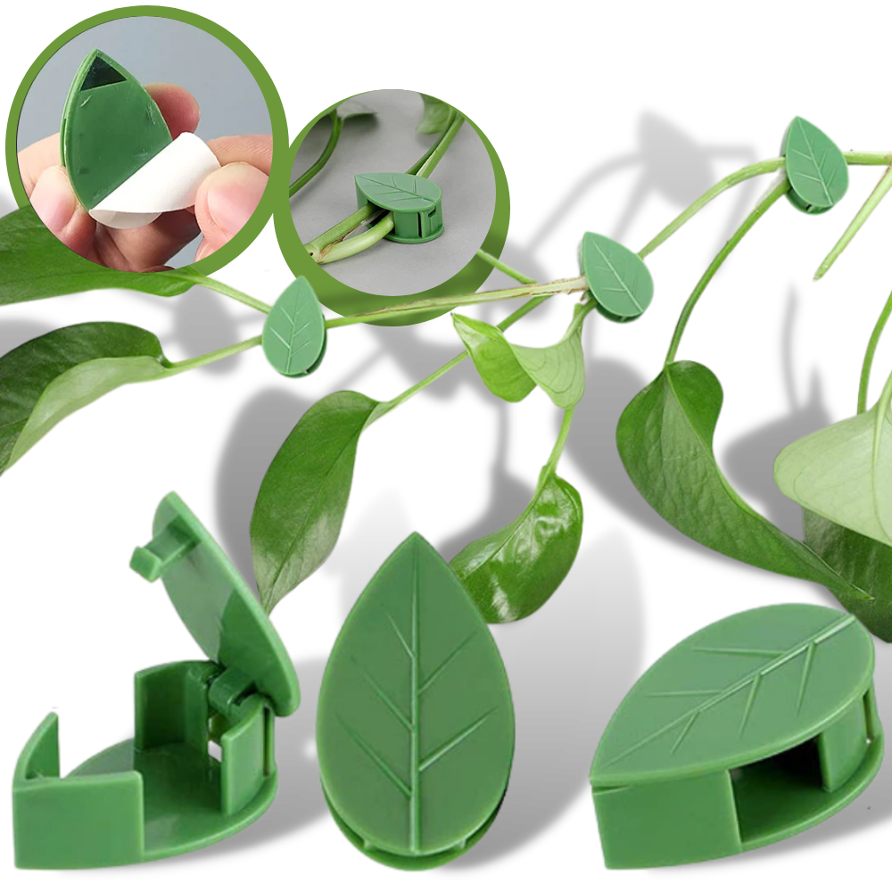 Conjunto de 20 presilhas adesivas em forma de folha para jardinagem, marca Urban Green Home, em uso na planta ou suporte de jardim