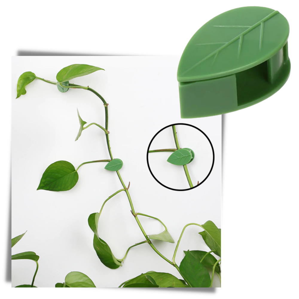 Conjunto de 20 clips adesivos em forma de folha da Urban Green Home para jardinagem, feitos de plástico resistente.