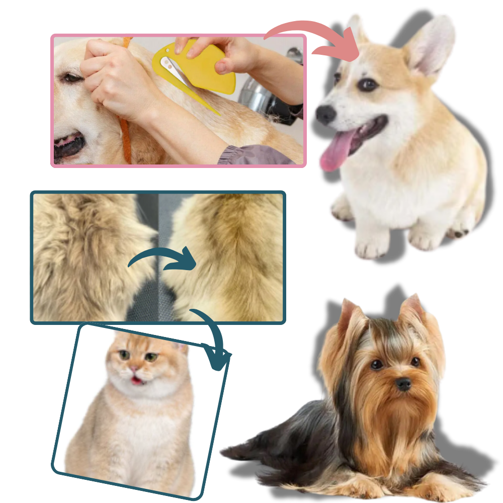 Démêloir multifuncional para animais de estimação, ferramenta confiável para desembaraçar pelos de cães e gatos, marca Linmoua.