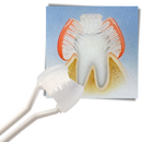 Escova de dentes Viafly de três faces em azul para adultos e crianças, ideal para cuidados bucais eficientes.